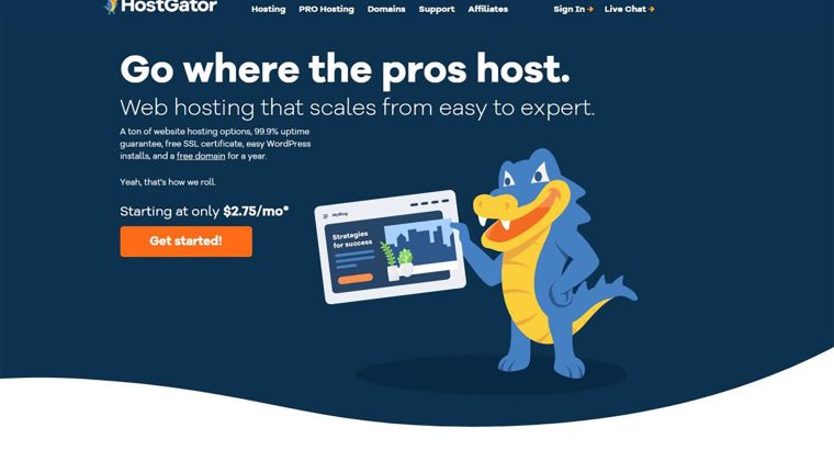 HostGator Web Hosting Review