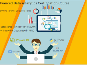Data Analytics Certification Course in Delhi.110065. Best Online Data