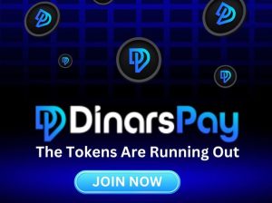 Invest in the Next Big Thing: DinarsPay