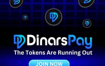 Invest in the Next Big Thing: DinarsPay