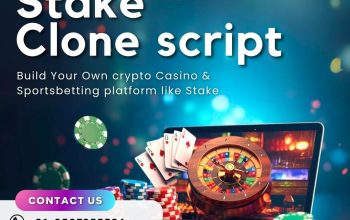 Rapid Deployment with Stake Casino Clone Software – Affordable & Effective